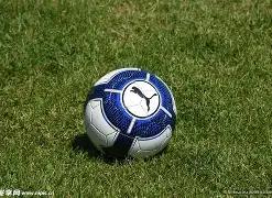 拜仁,逆转奥格斯,凯恩送出双,开云体育,开云体育官网,开云体育app,开云体育平台,KAIYUN,SPORTS,kaiyun登录入口