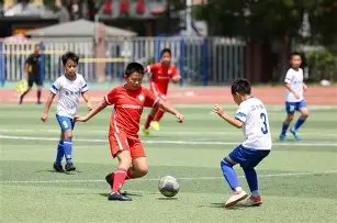 全运会绿色,篇章,粤港澳共建,开云体育,开云体育官网,开云体育app,开云体育平台,KAIYUN,SPORTS,kaiyun登录入口