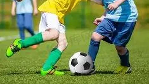 开云平台 产品 114252 lqd