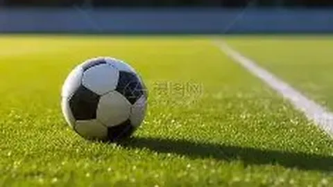 开云平台 资讯 140639 ob4