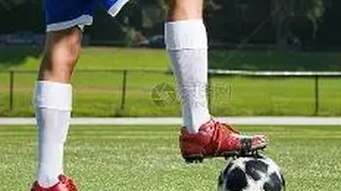 开云平台 资讯 143408 aye