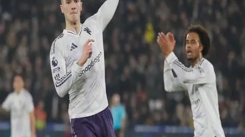 篮球胜利喜讯，C约翰逊独揽33分助力球队终止猛龙六连败