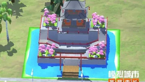 揭秘机动车辆安全统筹：合法车险还是另有玄机？